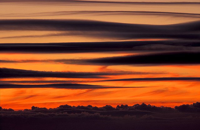 Les poissons du mauvais temps