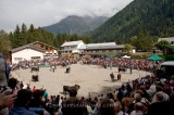 COWS FIGHTING, ARGENTIERE VILLAGE, HAUTE-SAVOIE, FRANCE