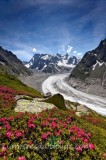 LA MER DE GLACE