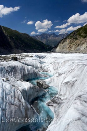 BEDIERE DE LA MER DE GLACE