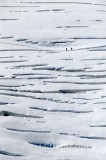SERACS ET CREVASSES DU GLACIER DU GEANT