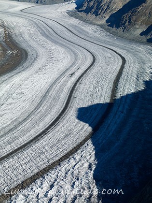 GLACIER D'ALETSCH, OBERLAND, SUISSE