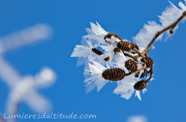 GIVRE