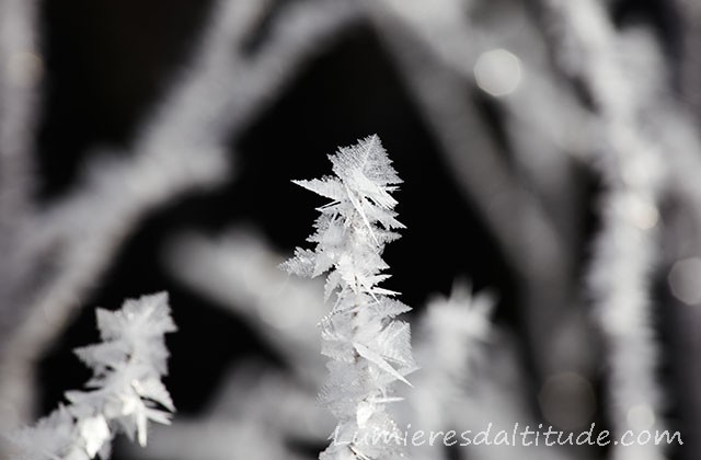 GIVRE