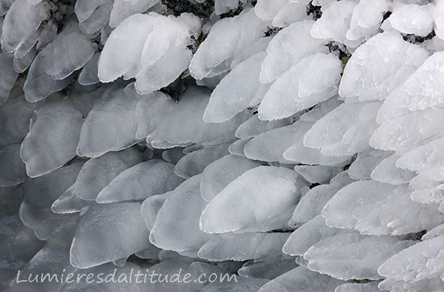 SCULPTURES DE GLACE