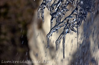 SCULPTURES DE GLACE, LES GRIFFES