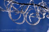 GIVRE, ARABESQUES