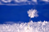 GIVRE, LE FLOCON