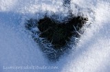 GIVRE, LE COEUR