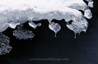 SCULPTURES DE GLACE, AS DE PIQUE