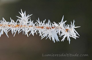 GIVRE