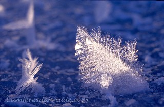 GIVRE