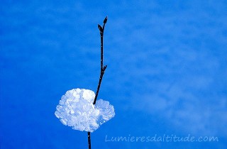 GIVRE, COROLLE