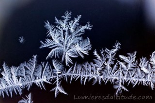 SCULPTURES DE GLACE