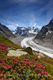 La Mer de Glace, Chamonix