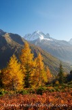 Couleurs d'autome et aiguille Verte