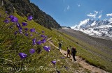 Montee au refuge Albert 1er, Massif du Mont-Blanc, Haute-savoie, France