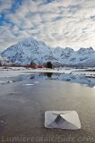 Craquelures a maree basse, Lofoten, Norvege