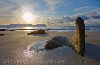 Le lion de mer... Lofoten, Norvege