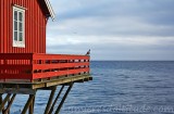 Maisons de pecheur, Lofoten, Norvege