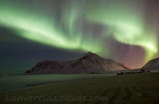 Aurore boreale, Flakstad, Lofoten, Norvege