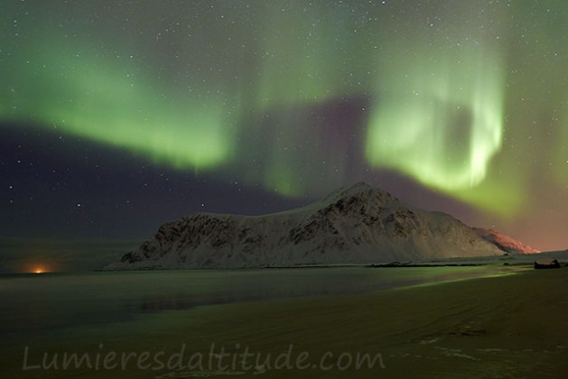 Aurore boreale, Flakstad, Lofoten, Norvege