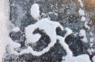 Le coureur...graphisme de la glace et du givre