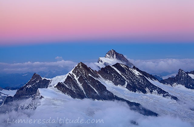 Le Finsteraarhorn au couchant; Oberland, Suisse