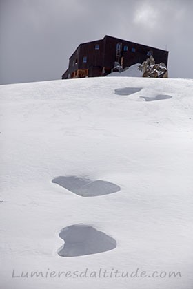 Le refuge des Cosmiques et ses petits coeurs, like...