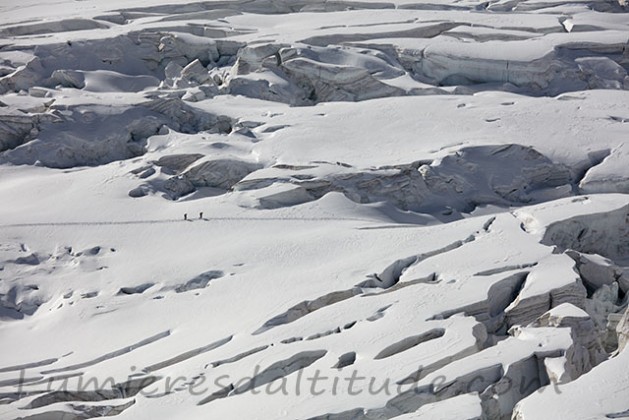 Cordee dans la traversee de la Vallee Blanche, glacier du Géant, Chamonix