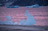 Groenland, glace echouee du glacier Karale 