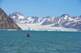 Groenland, kayak de mer dans le fjord Sermiligaq 