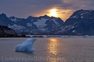 Groenland, ours polaire en glace...