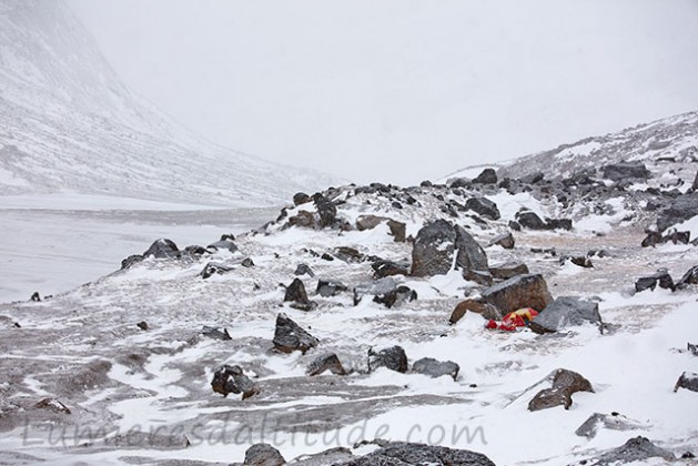 Camping...Terre de Baffin, Canada