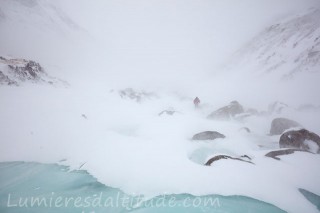 Dans le bizzard, Terre de Baffin, Canada