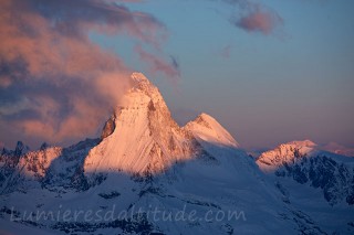 Cervin et Dent d'Herens a l'aube, Valais, Suisse