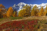 Automne au Mont-Blanc