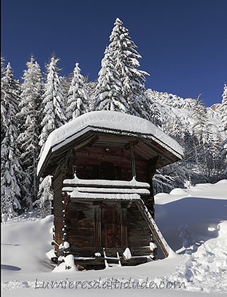 Chalet at Trelechamp