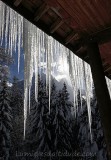 L'Aiguille Verte sous la glace