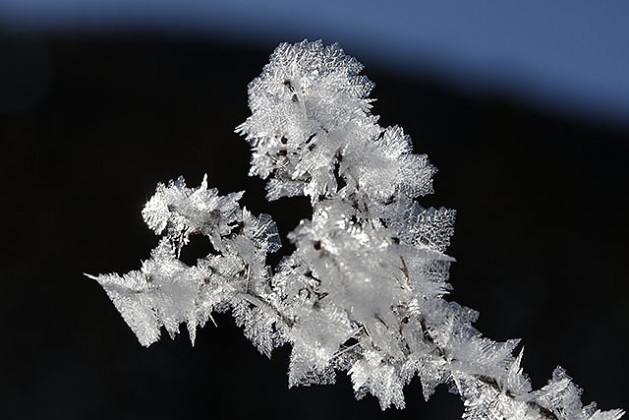 Givre