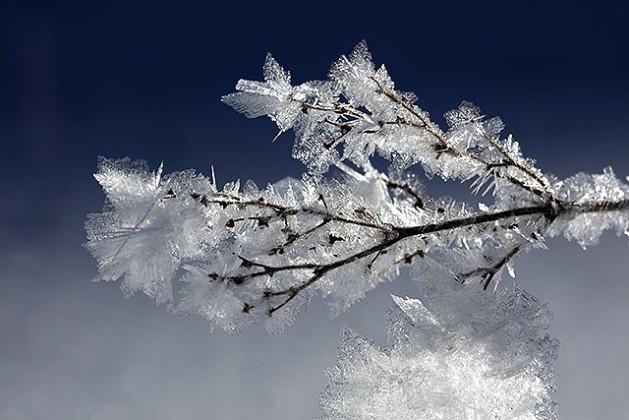 Givre