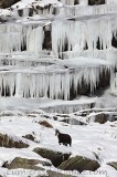 Terre de glace