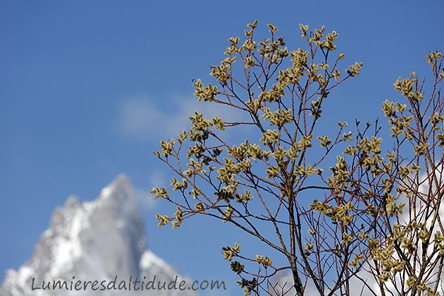 Printemps sur Peutery