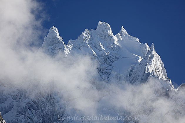 Les aiguilles de givre