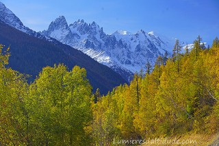 Couleurs d'automne à Chamonix