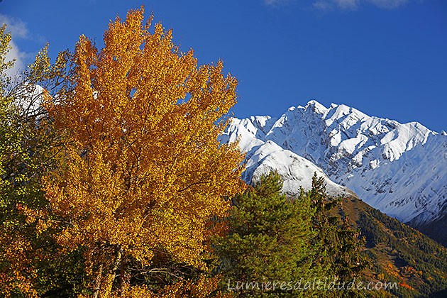 Autumn in Val Aoste