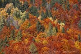 Automne à Chamonix