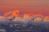 Mont-Blanc rose