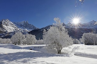 Le soleil de givre