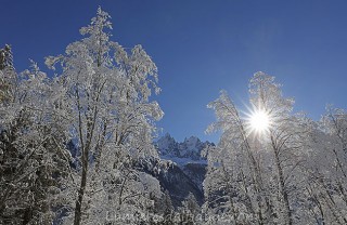 Les aiguilles de givre